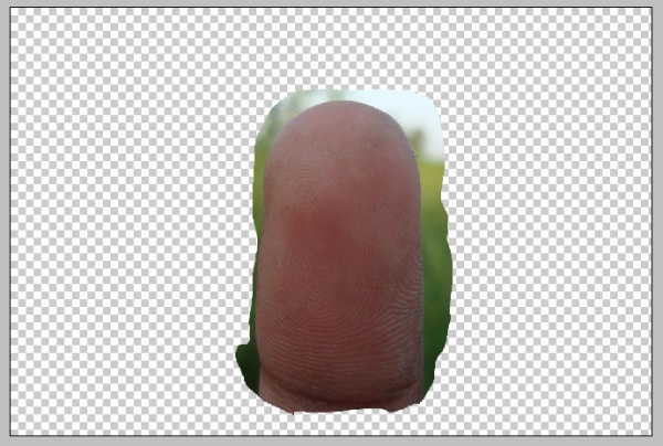Creation of Arrest ID: Step 13